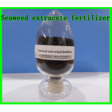 Seaweed Extract Fertilizer